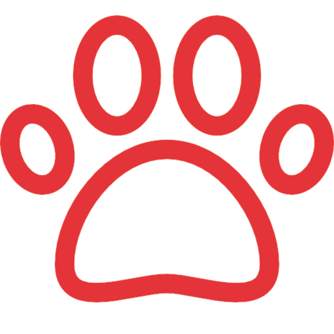 PAW PATROL (Šunyčiai patruliai)